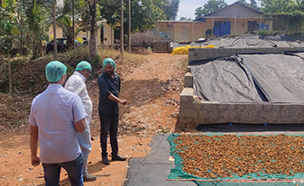 Exploring the essence of nature's golden spice: a buyer's journey to witness the organic drying process of Alleppey finger turmeric