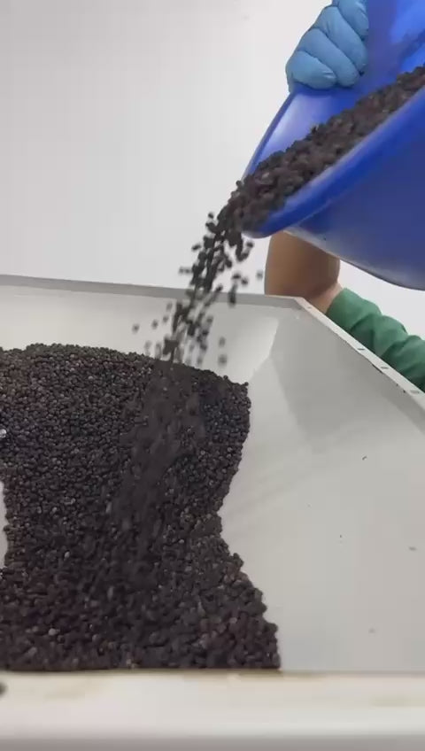 Black Pepper Whole